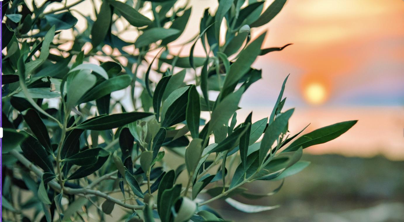 Çevre ve Kimyasallar Yönetimi